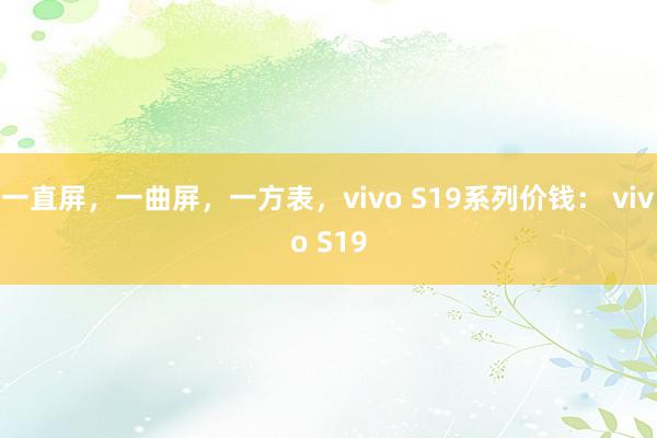 一直屏，一曲屏，一方表，vivo S19系列价钱： vivo S19