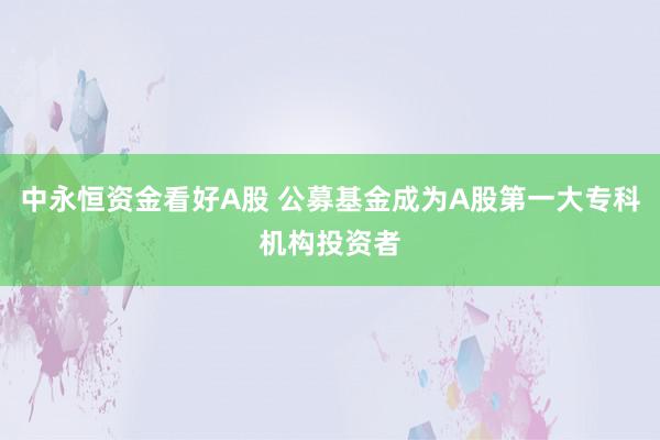 中永恒资金看好A股 公募基金成为A股第一大专科机构投资者