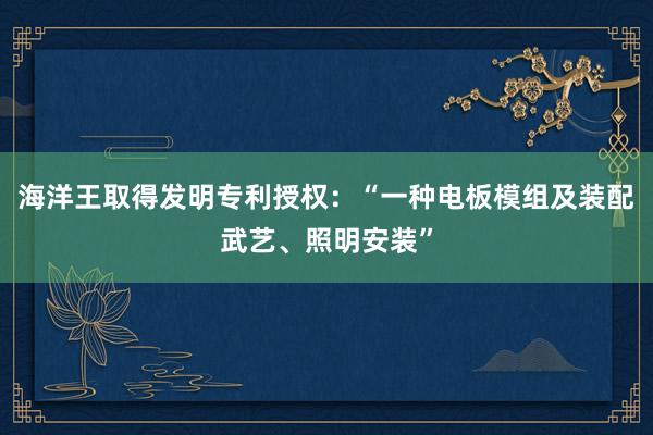 海洋王取得发明专利授权：“一种电板模组及装配武艺、照明安装”