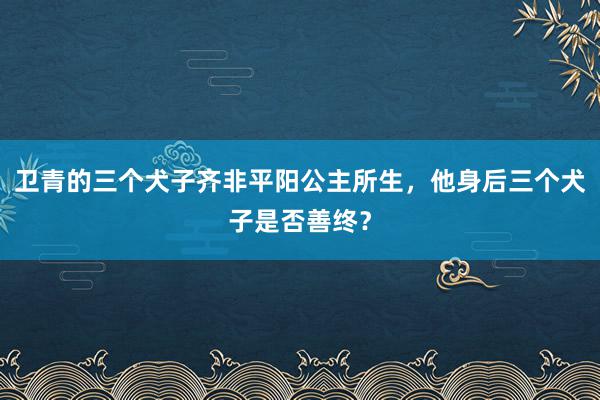 卫青的三个犬子齐非平阳公主所生，他身后三个犬子是否善终？