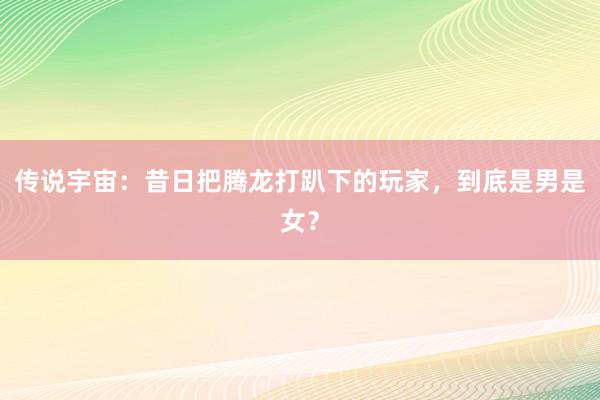 传说宇宙：昔日把腾龙打趴下的玩家，到底是男是女？