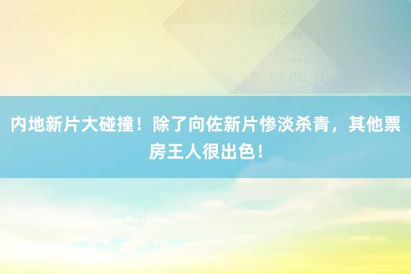 内地新片大碰撞！除了向佐新片惨淡杀青，其他票房王人很出色！